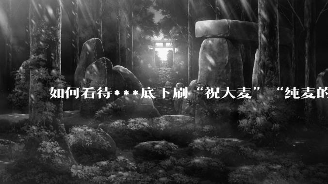 如何看待***底下刷“祝大麦”“纯麦的”等梗的评论？